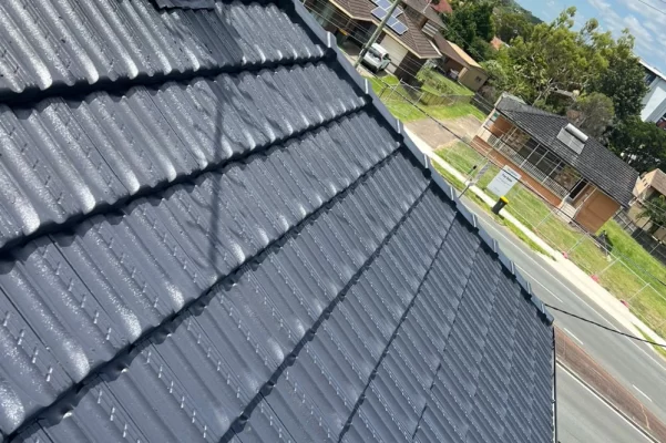 Painting and Roof Restoration Australia